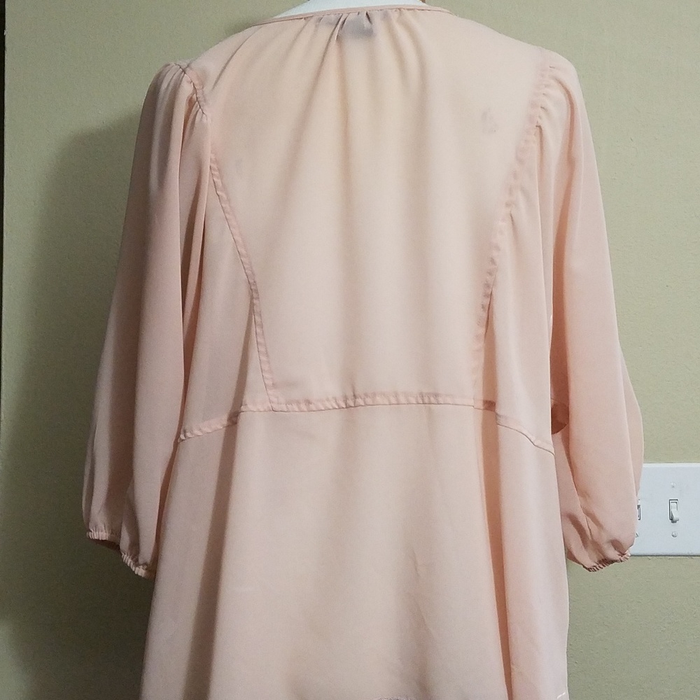 Pink sheer embroidered shirt - Picture 2 of 8
